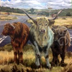 Joyce's Highlanders-1.jpg