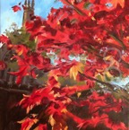 Japanese maple by Minchinhampton Church-1.jpg