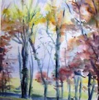driving in autumn.jpg
