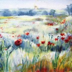 malmesbury poppies.jpg