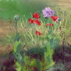 poppies - oil - A3 - &pound;225.jpg