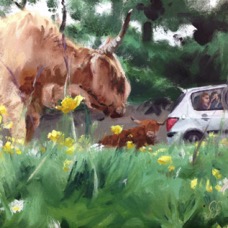 No time for Buttercups-1.jpg