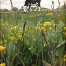 Time for Buttercups-1.jpg