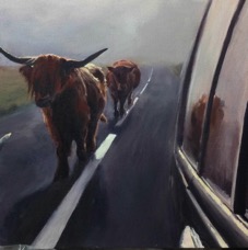 bovine reflections.jpg