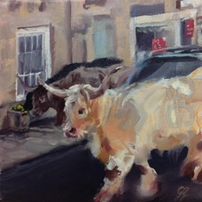 cows in minch 1.jpg