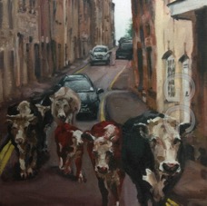 cows in minch 2.jpg