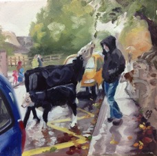 cows on school run 1.jpg