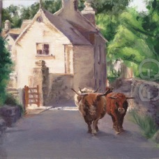 highlands in minchinhampton 2.jpg