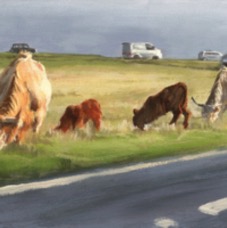 Highlands at Tom Longs Post-1.jpg