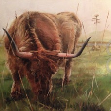 Gemma's highland cow-1.jpg